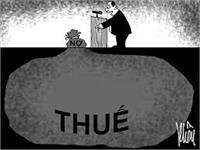 Bộ Tài chính yêu cầu ngành thuế tăng cường chống gian lận thuế