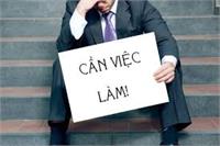 Nếu bạn đang cần việc làm?