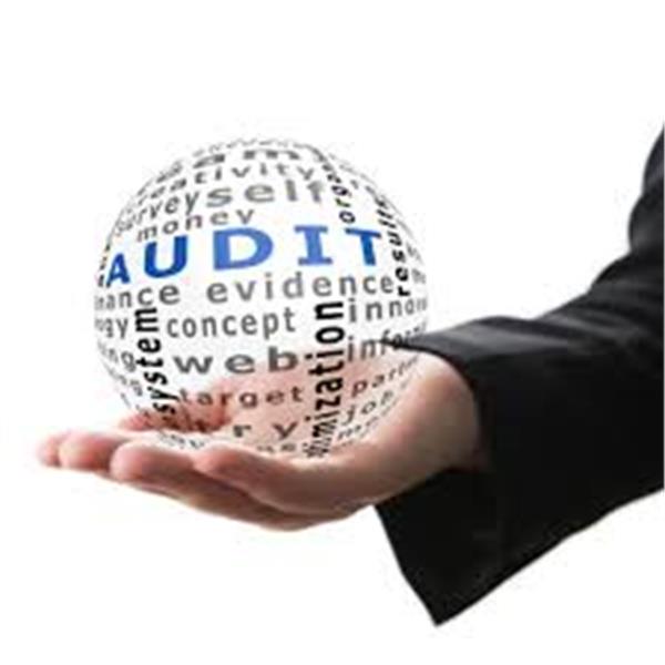 Kiểm toán và các dịch vụ đảm bảo